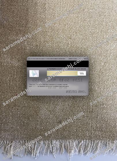 USA Discover bank visa classic card photolook back